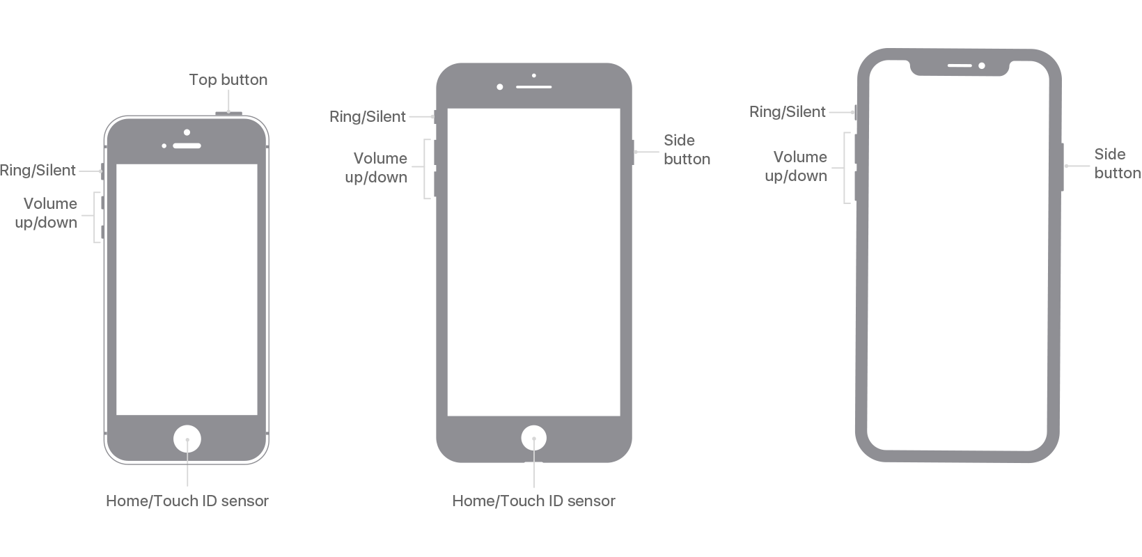 /it/posts/tips_master_iphone/images/iphone-se-iphone7-iphone-11pro-buttons-switches-tech-spec.png